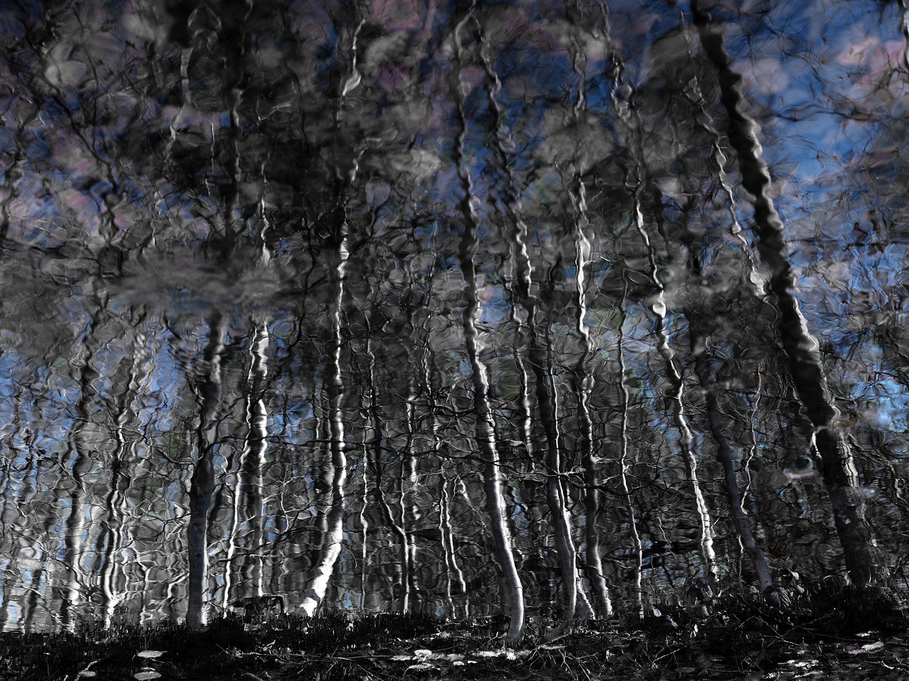 winter forest (from Requiem) 45x34 cm