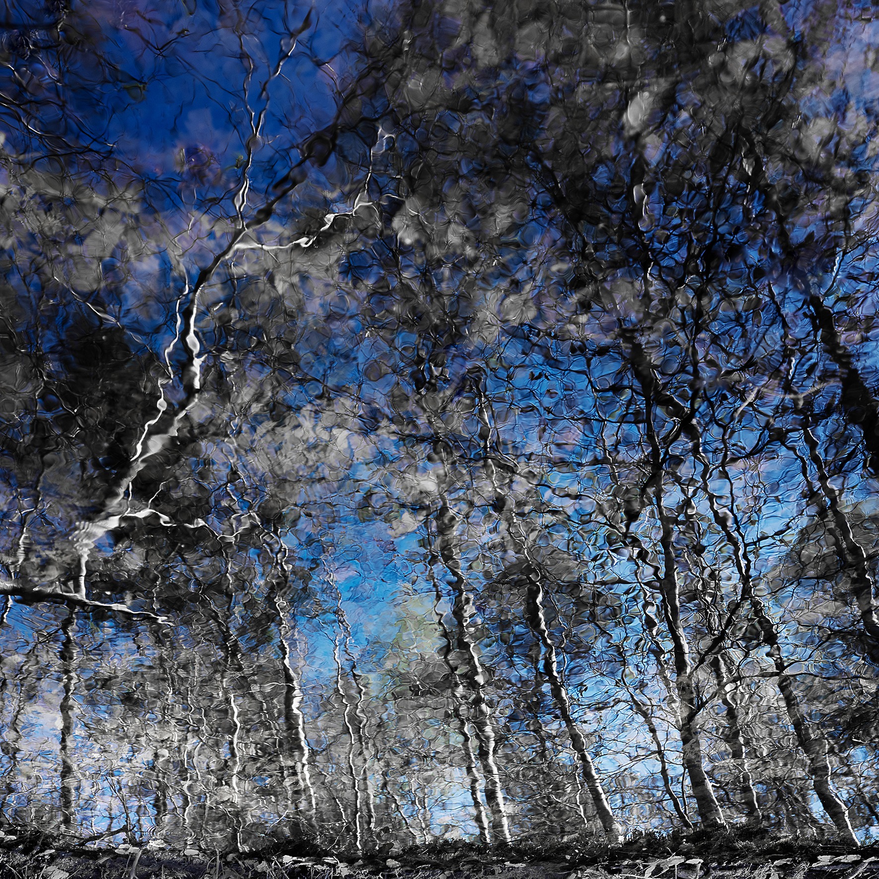 requiem 2 100x100cm