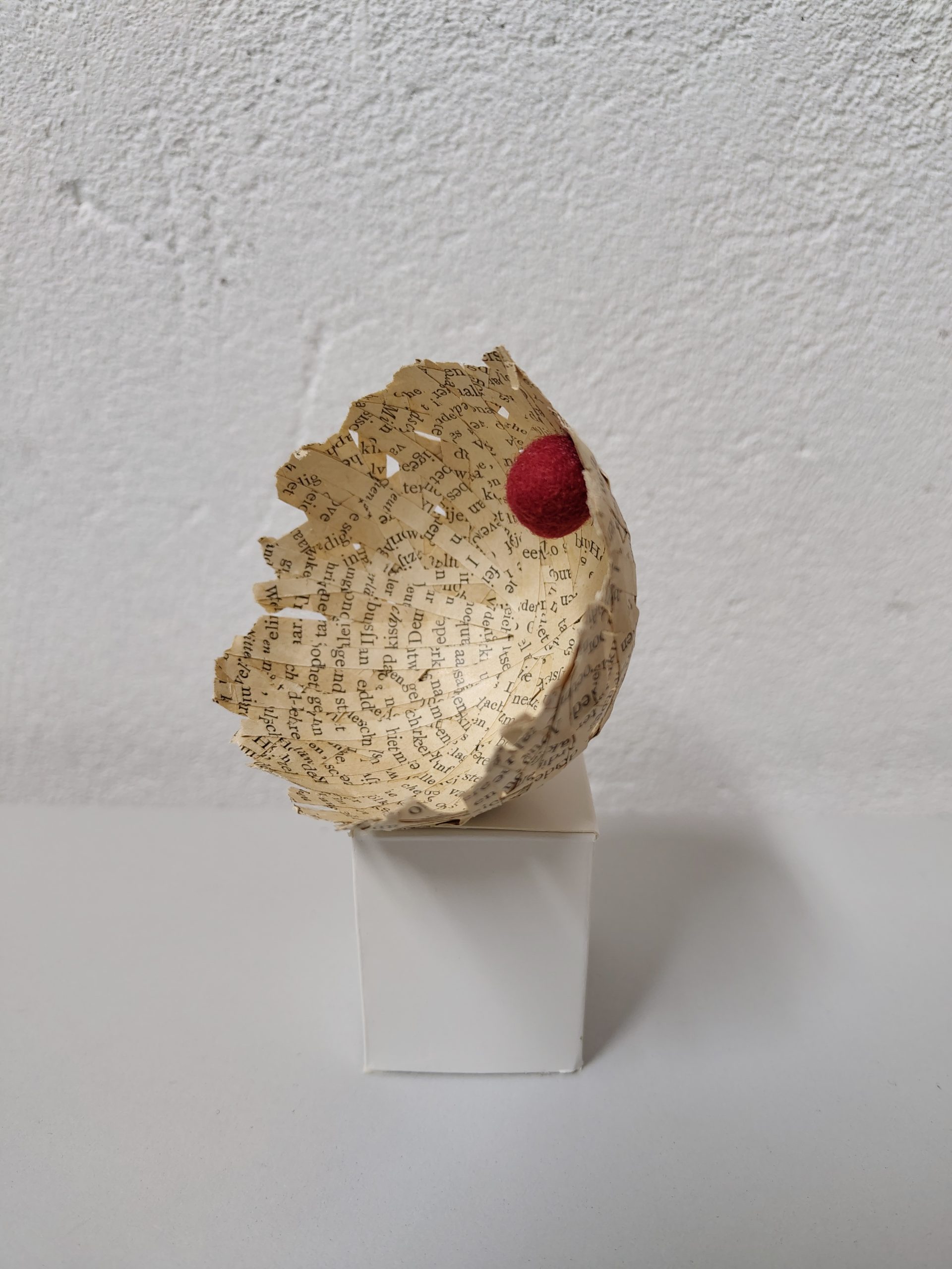 los laten 12x8cm