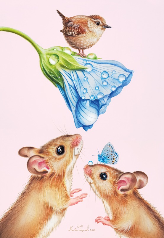 Mededieren 47x32cm
